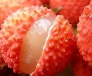 香蕉成人APP在线观看荔枝